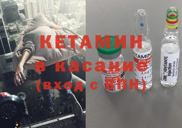 сатива Сатка